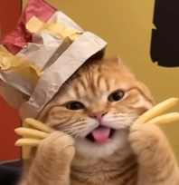 McCat with his tongue out, wearing a paper hat and holding fries